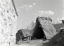 Carretti e animali a Montegrotto. Aprile 1956- 4
